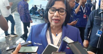 Ketua DPP Partai NasDem, Irma Suryani Chaniago