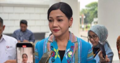 Ketua Dewan Komisioner Otoritas Jasa Keuangan, Friderica Widyasari Dewi