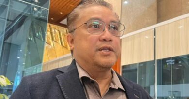 Wakil Ketua Umum Partai Demokrat Dede Yusuf